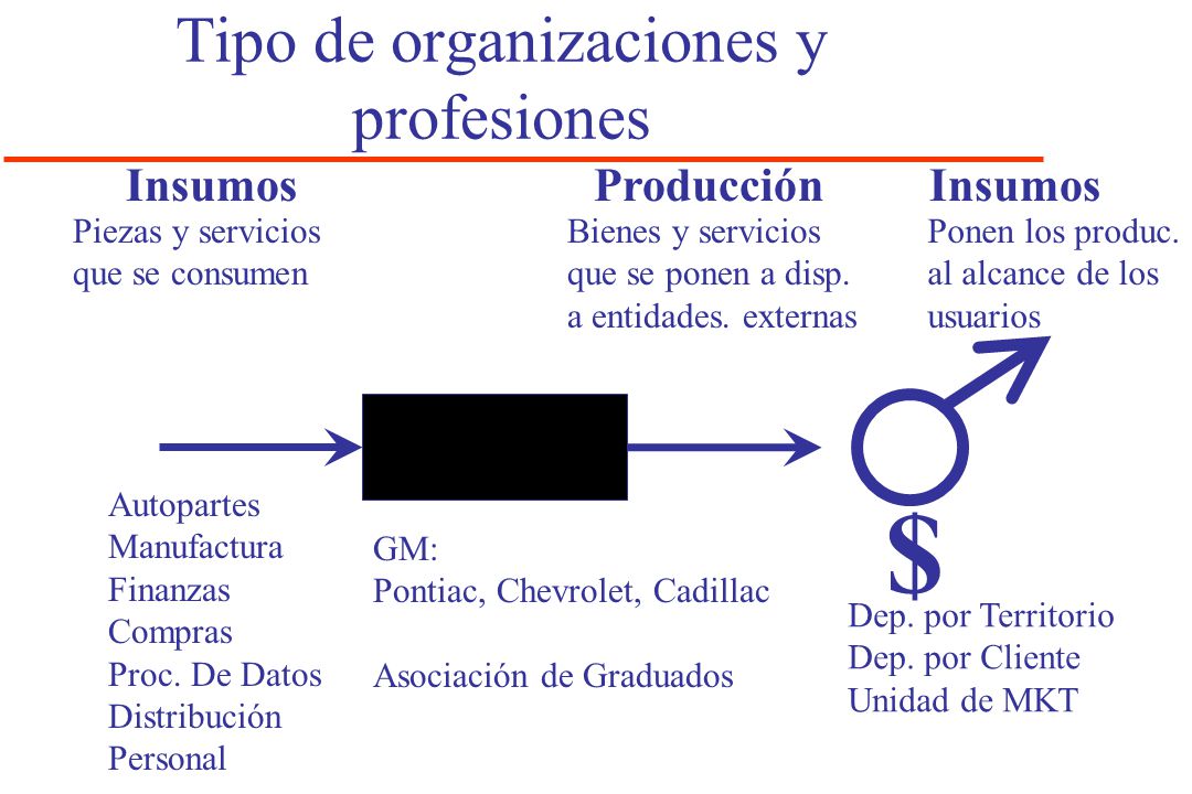 Tipo de organizaciones y profesiones