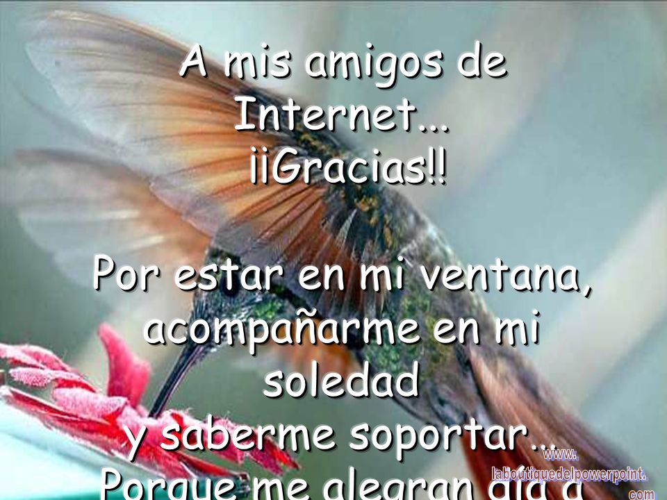 A mis amigos de Internet... ¡¡Gracias!! Por estar en mi ventana,