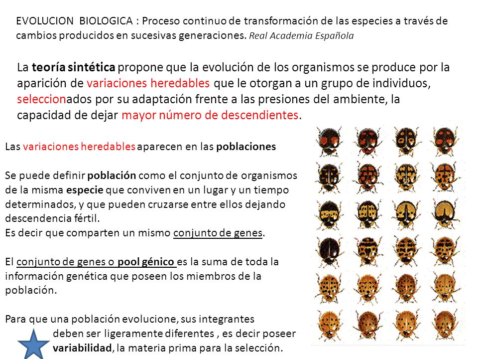 EVOLUCION BIOLOGICA : Proceso continuo de transformación de las especies a través de cambios producidos en sucesivas generaciones. Real Academia Española