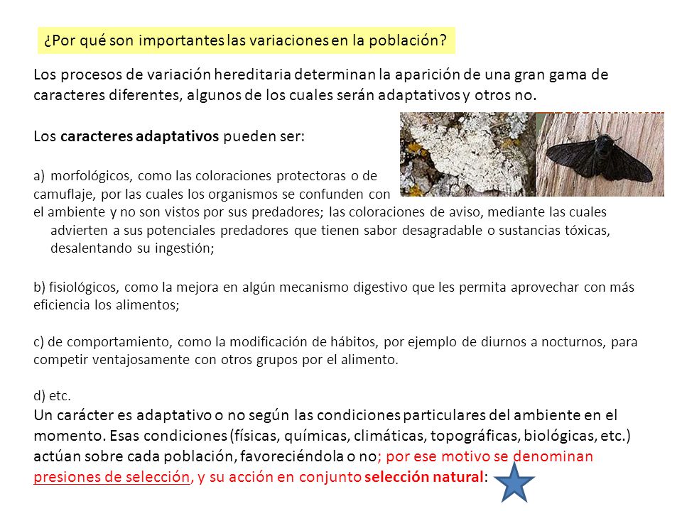 ¿Por qué son importantes las variaciones en la población