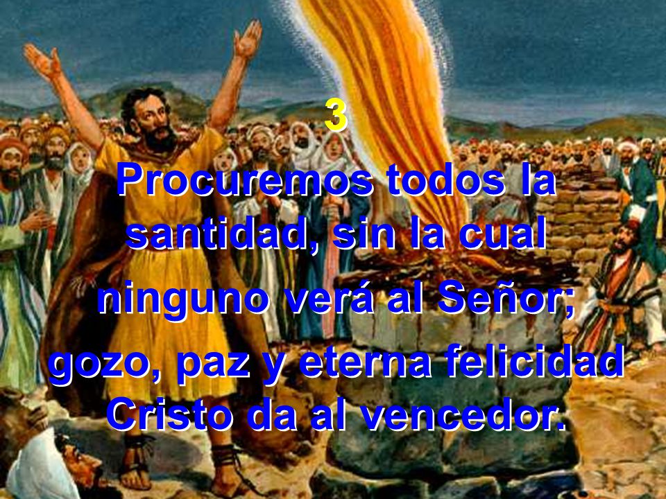 Procuremos todos la santidad, sin la cual ninguno verá al Señor;