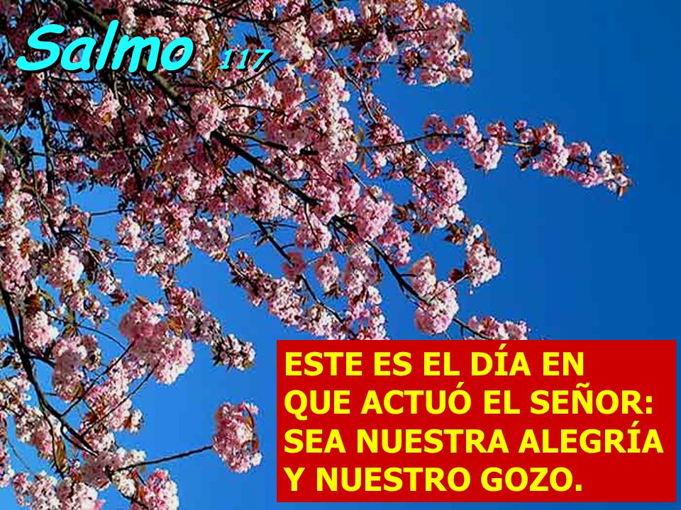 Salmo 117 ESTE ES EL DÍA EN QUE ACTUÓ EL SEÑOR: SEA NUESTRA ALEGRÍA Y NUESTRO GOZO.