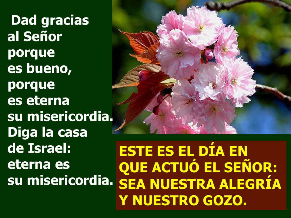 Dad gracias al Señor porque es bueno, porque es eterna su misericordia