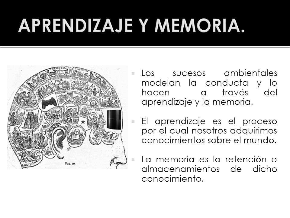 APRENDIZAJE Y MEMORIA. Los sucesos ambientales modelan la conducta y lo hacen a través del aprendizaje y la memoria.