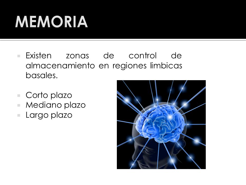 MEMORIA Existen zonas de control de almacenamiento en regiones limbicas basales. Corto plazo. Mediano plazo.