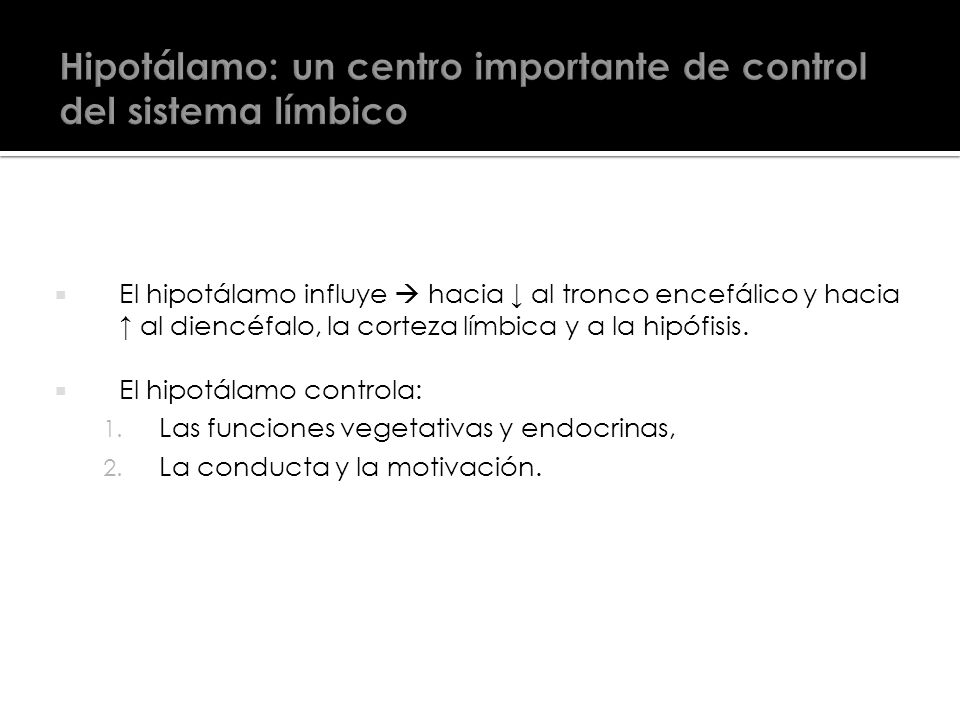 Hipotálamo: un centro importante de control del sistema límbico