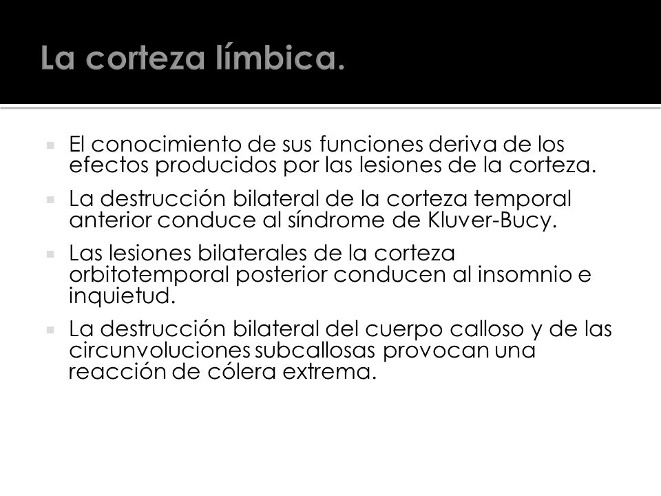 La corteza límbica. El conocimiento de sus funciones deriva de los efectos producidos por las lesiones de la corteza.