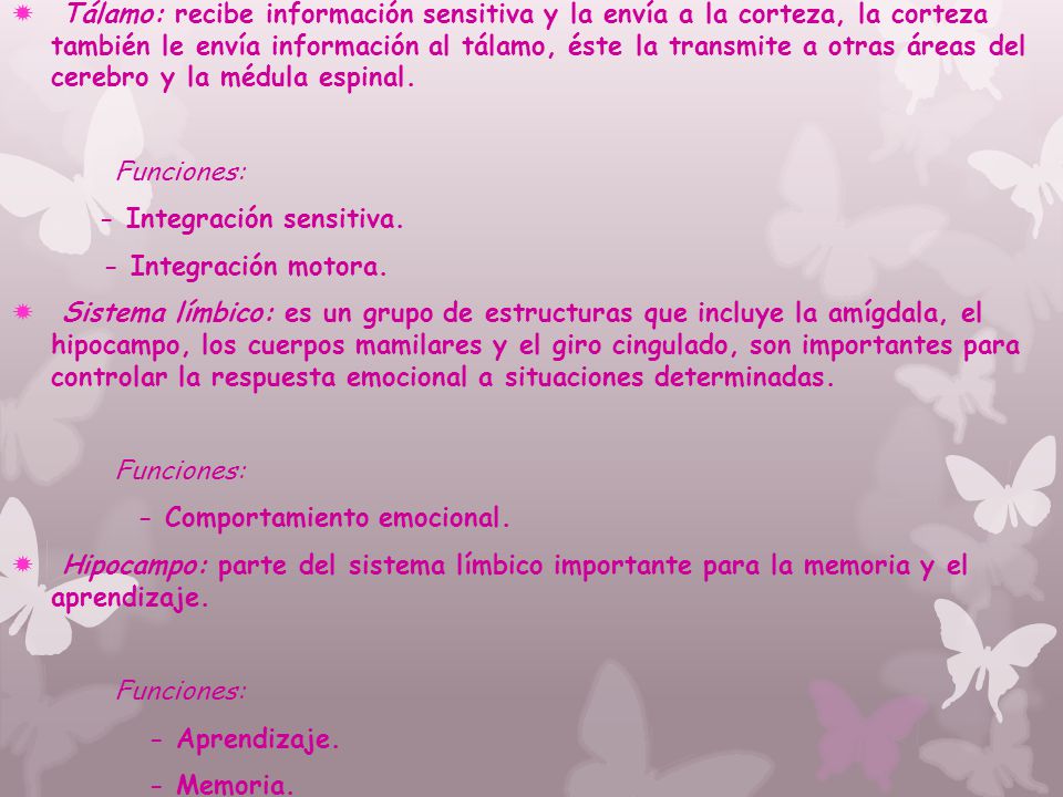 Tálamo: recibe información sensitiva y la envía a la corteza, la corteza también le envía información al tálamo, éste la transmite a otras áreas del cerebro y la médula espinal.