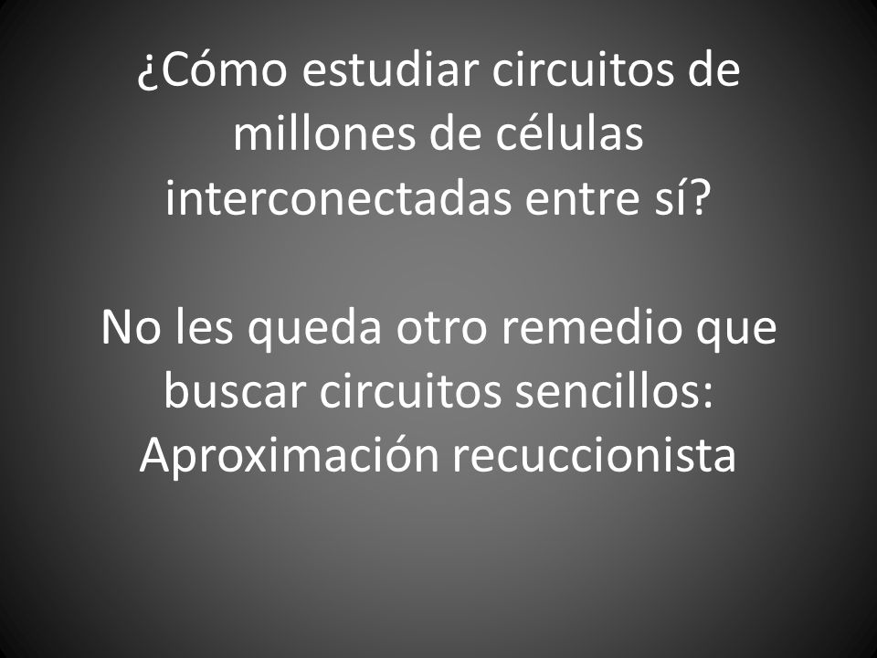¿Cómo estudiar circuitos de millones de células interconectadas entre sí.