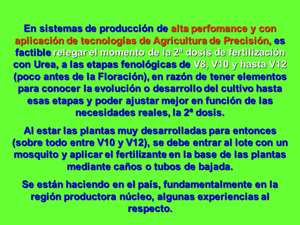 En sistemas de producción de alta perfomance y con aplicación de tecnologías de Agricultura de Precisión, es factible relegar el momento de la 2ª dosis de fertilización con Urea, a las etapas fenológicas de V8, V10 y hasta V12 (poco antes de la Floración), en razón de tener elementos para conocer la evolución o desarrollo del cultivo hasta esas etapas y poder ajustar mejor en función de las necesidades reales, la 2ª dosis.