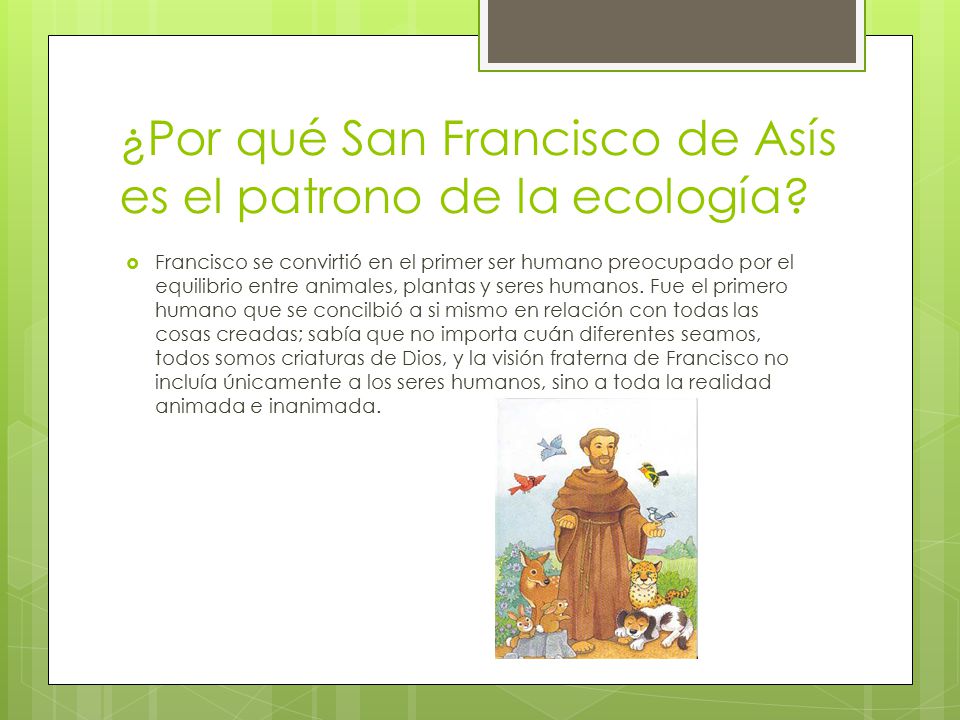 ¿Por qué San Francisco de Asís es el patrono de la ecología
