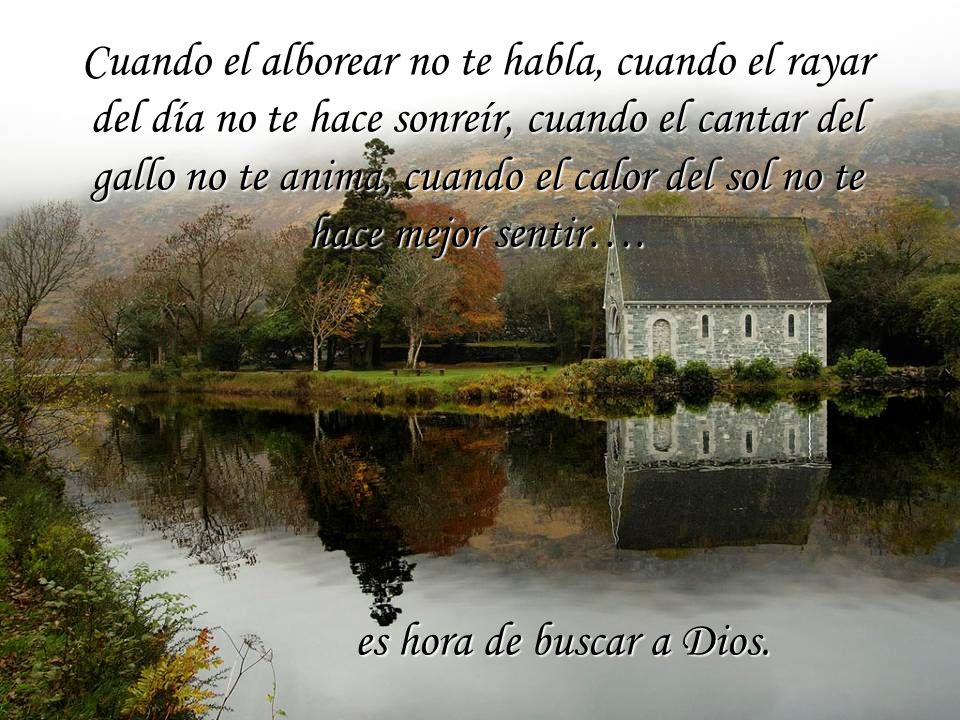 Cuando el alborear no te habla, cuando el rayar del día no te hace sonreír, cuando el cantar del gallo no te anima, cuando el calor del sol no te hace mejor sentir….