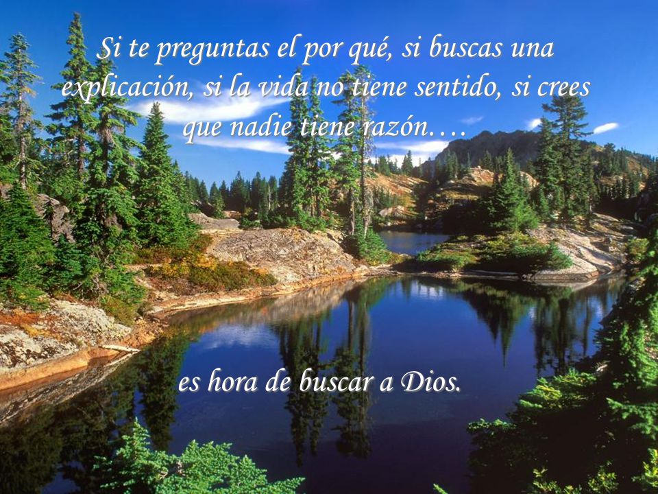 Si te preguntas el por qué, si buscas una explicación, si la vida no tiene sentido, si crees que nadie tiene razón….