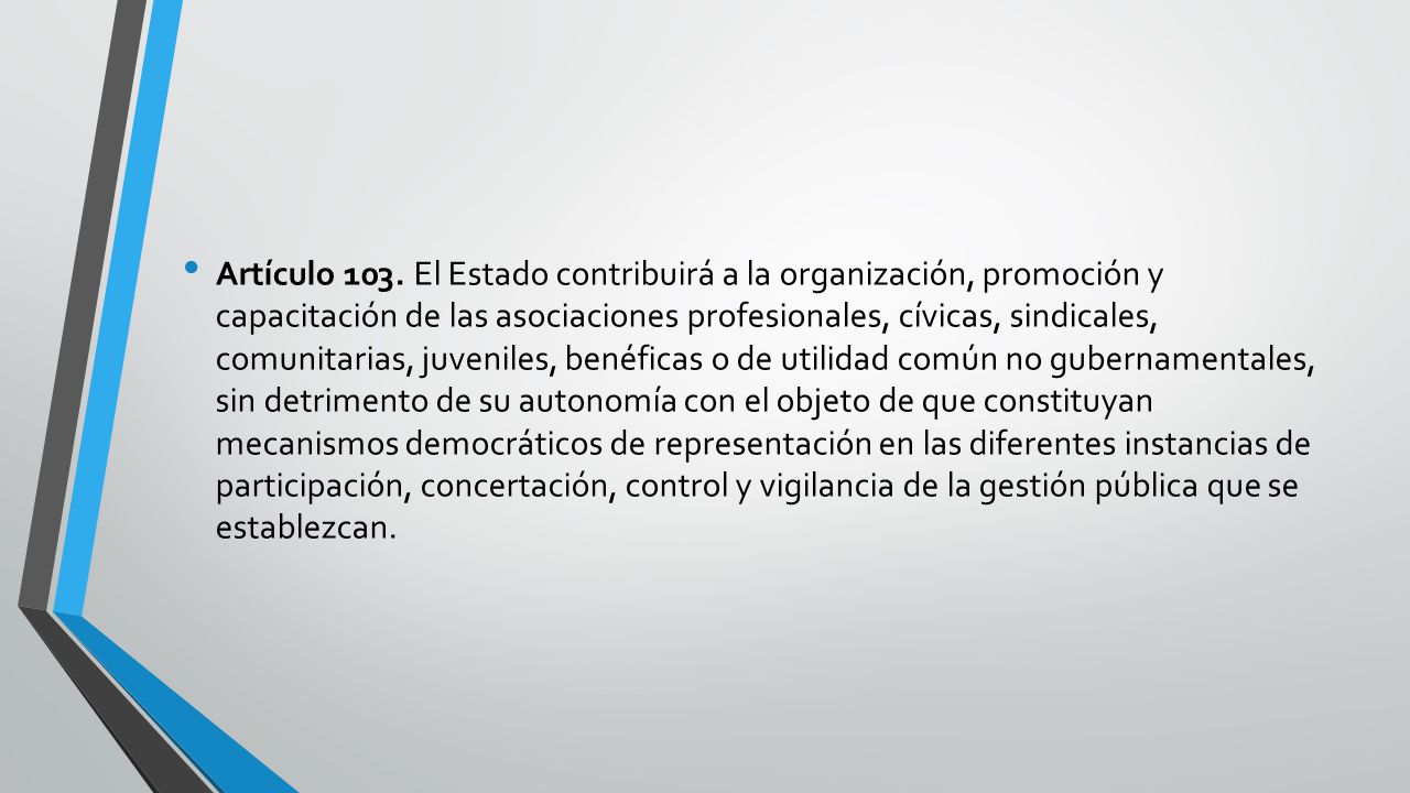 Artículo 103. El Estado contribuirá a la organización, promoción y capacitación de las asociaciones profesionales, cívicas, sindicales, comunitarias, juveniles, benéficas o de utilidad común no gubernamentales, sin detrimento de su autonomía con el objeto de que constituyan mecanismos democráticos de representación en las diferentes instancias de participación, concertación, control y vigilancia de la gestión pública que se establezcan.