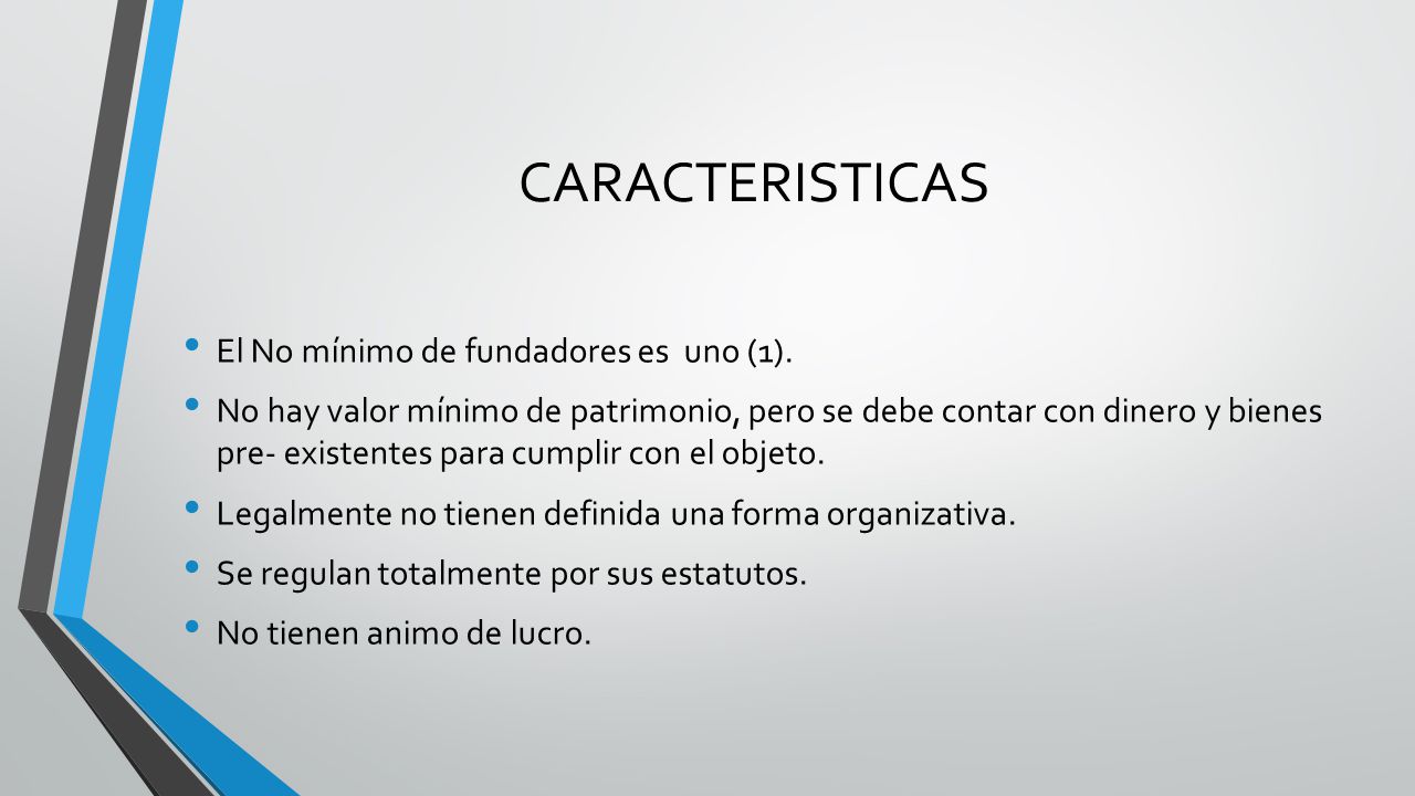 CARACTERISTICAS El No mínimo de fundadores es uno (1).