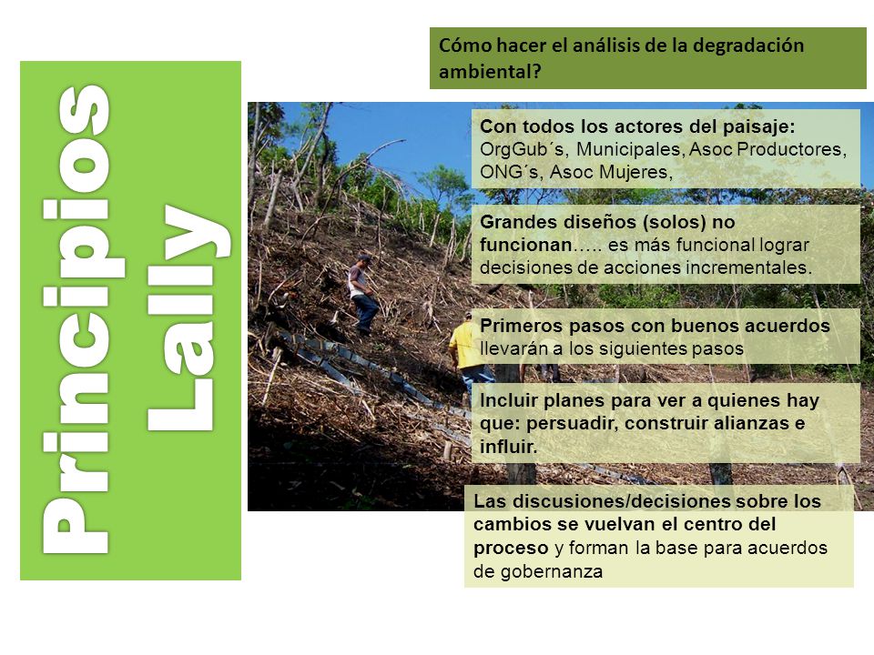 Principios Lally Cómo hacer el análisis de la degradación ambiental