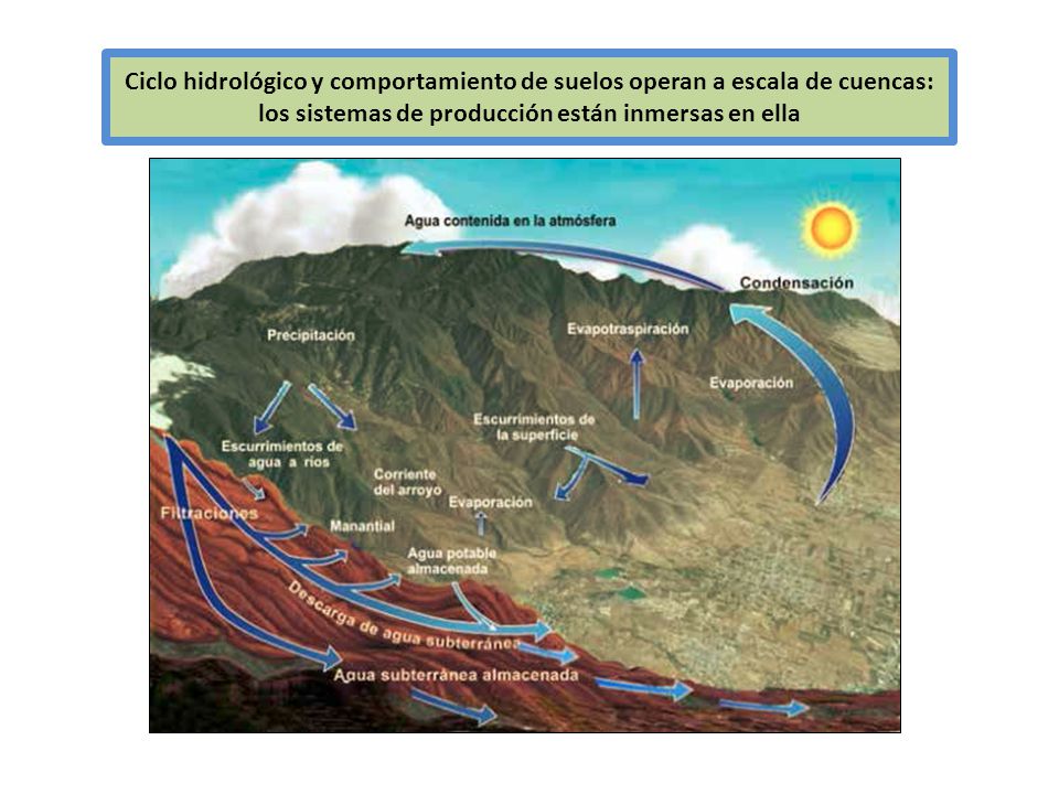 Ciclo hidrológico y comportamiento de suelos operan a escala de cuencas: los sistemas de producción están inmersas en ella