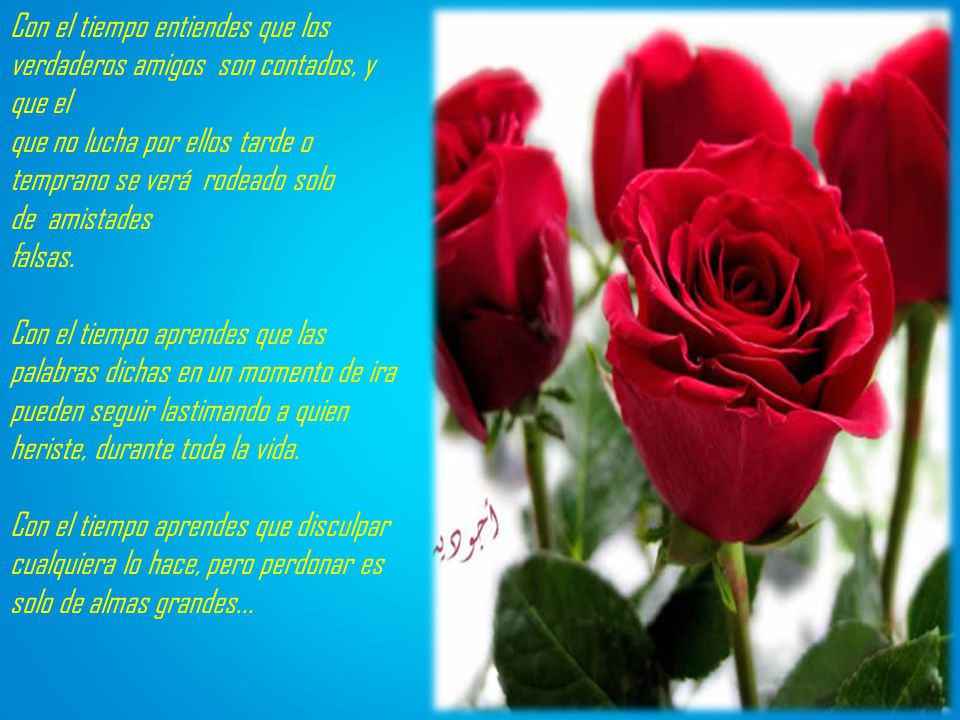 Con el tiempo entiendes que los verdaderos amigos son contados, y que el que no lucha por ellos tarde o temprano se verá rodeado solo de amistades falsas.