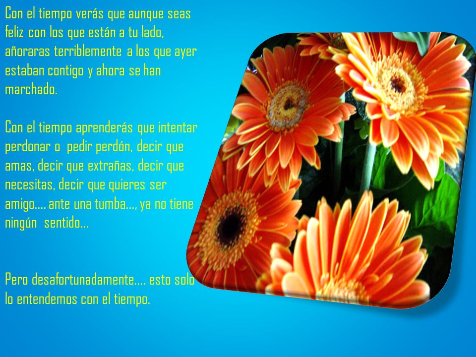 Con el tiempo verás que aunque seas feliz con los que están a tu lado, añoraras terriblemente a los que ayer estaban contigo y ahora se han marchado. Con el tiempo aprenderás que intentar perdonar o pedir perdón, decir que amas, decir que extrañas, decir que necesitas, decir que quieres ser amigo.... ante una tumba..., ya no tiene ningún sentido...