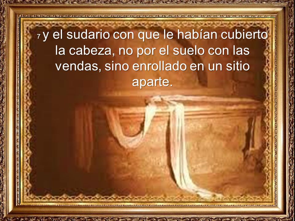 7 y el sudario con que le habían cubierto la cabeza, no por el suelo con las vendas, sino enrollado en un sitio aparte.