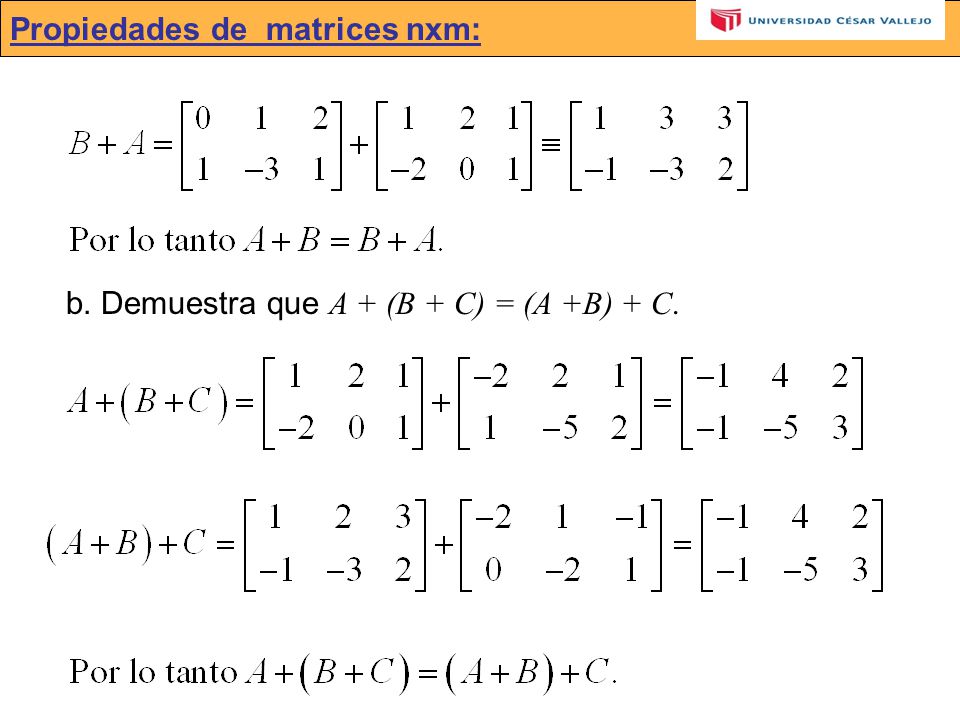 Propiedades de matrices nxm: