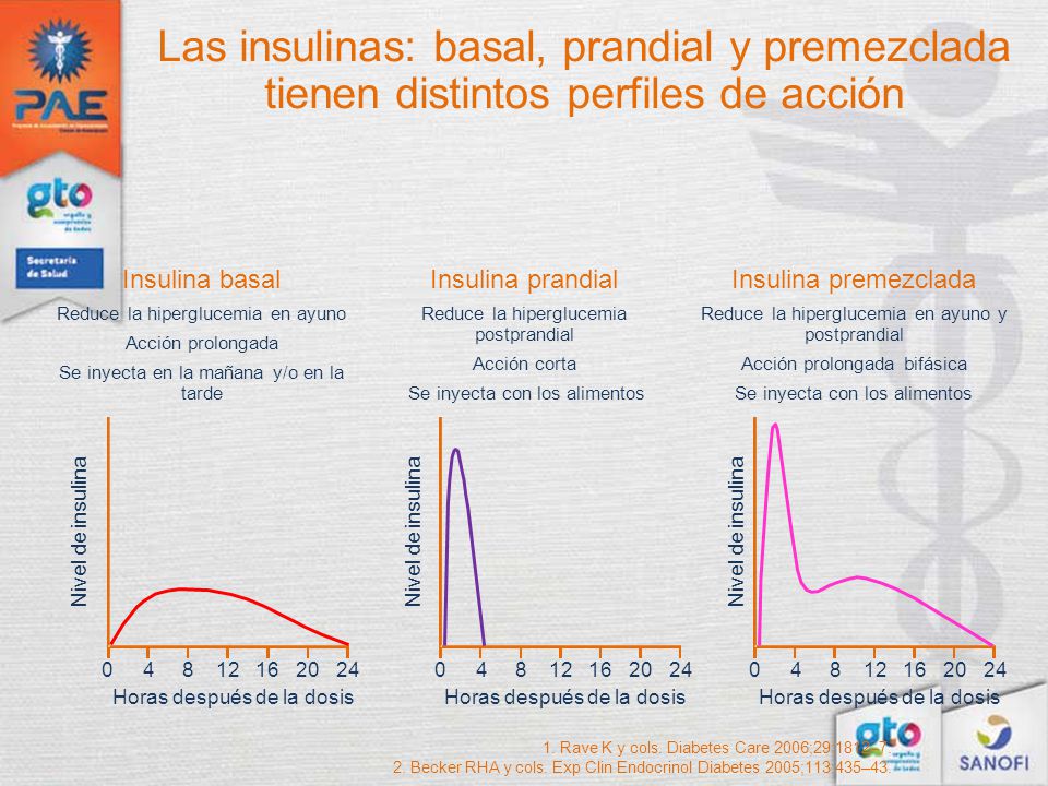 Las insulinas: basal, prandial y premezclada tienen distintos perfiles de acción