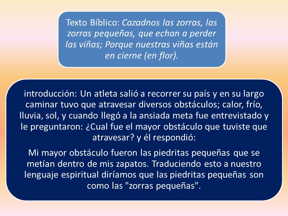 Texto Bíblico: Cazadnos las zorras, las zorras pequeñas, que echan a perder las viñas; Porque nuestras viñas están en cierne (en flor).
