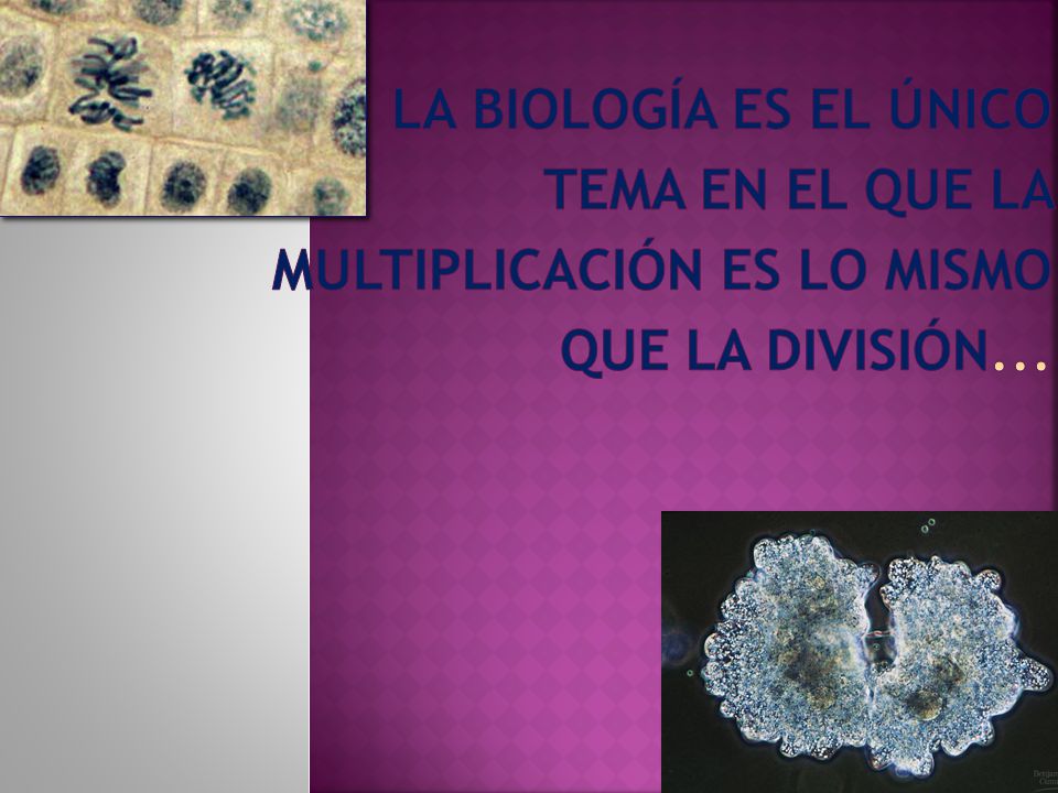 La biología es el único tema en el que la multiplicación es lo mismo que la división...