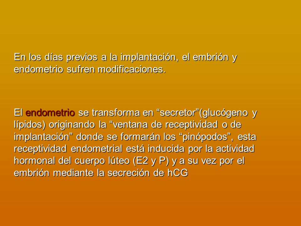 En los días previos a la implantación, el embrión y endometrio sufren modificaciones.
