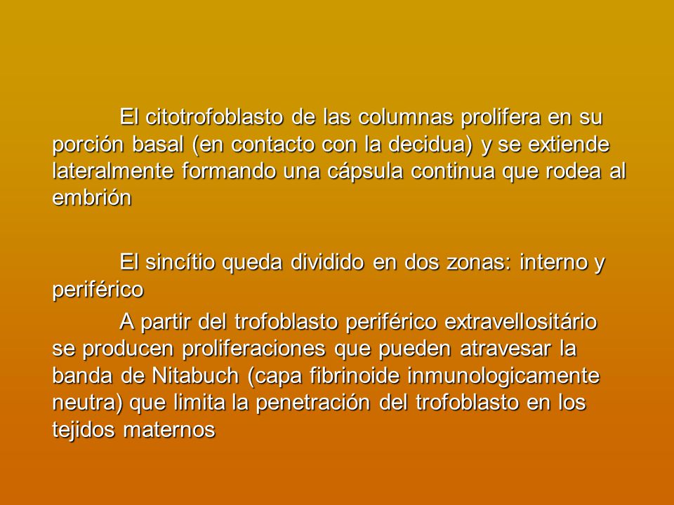 El citotrofoblasto de las columnas prolifera en su porción basal (en contacto con la decidua) y se extiende lateralmente formando una cápsula continua que rodea al embrión