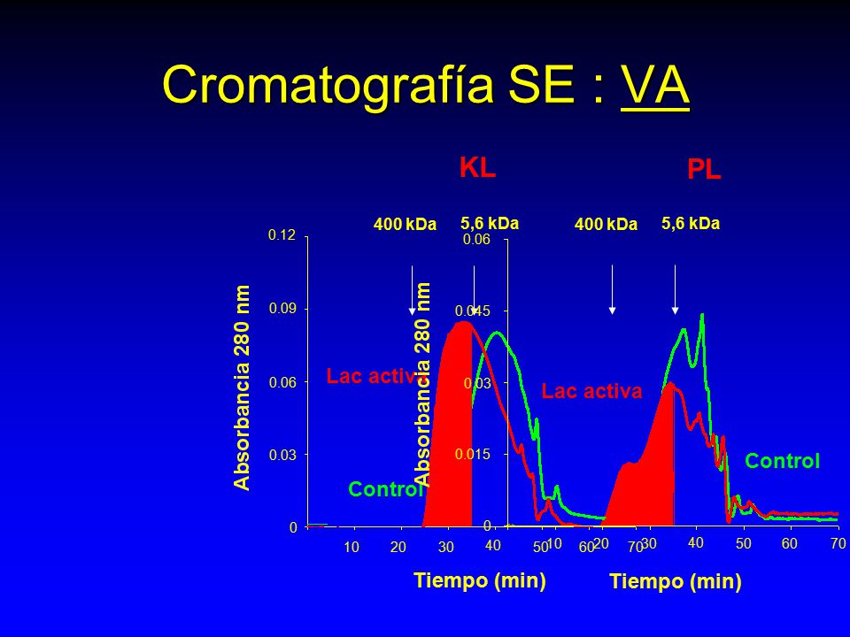 Cromatografía SE : VA KL PL Lac activa Lac activa Control Control