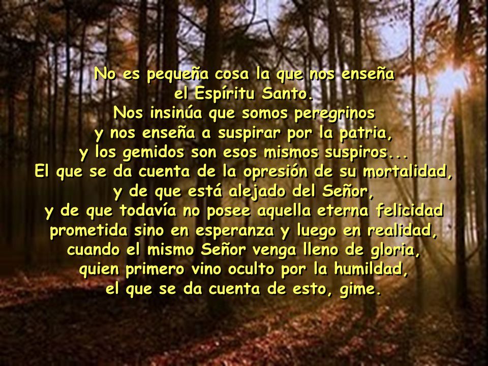 No es pequeña cosa la que nos enseña el Espíritu Santo.