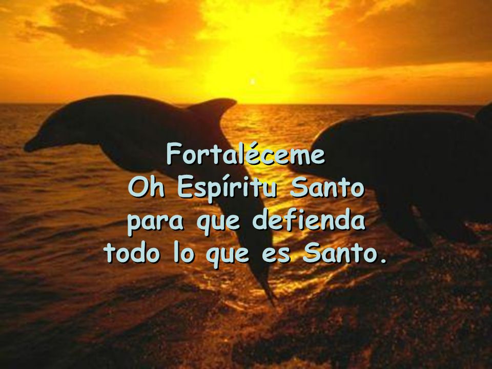 Fortaléceme Oh Espíritu Santo para que defienda todo lo que es Santo.