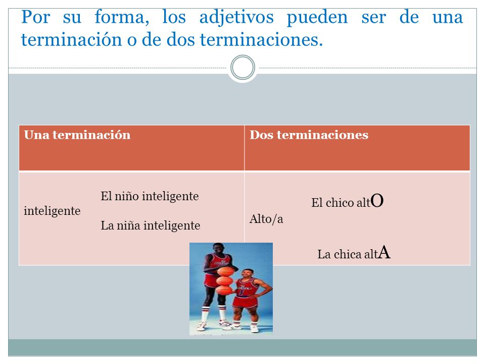 Por su forma, los adjetivos pueden ser de una terminación o de dos terminaciones.