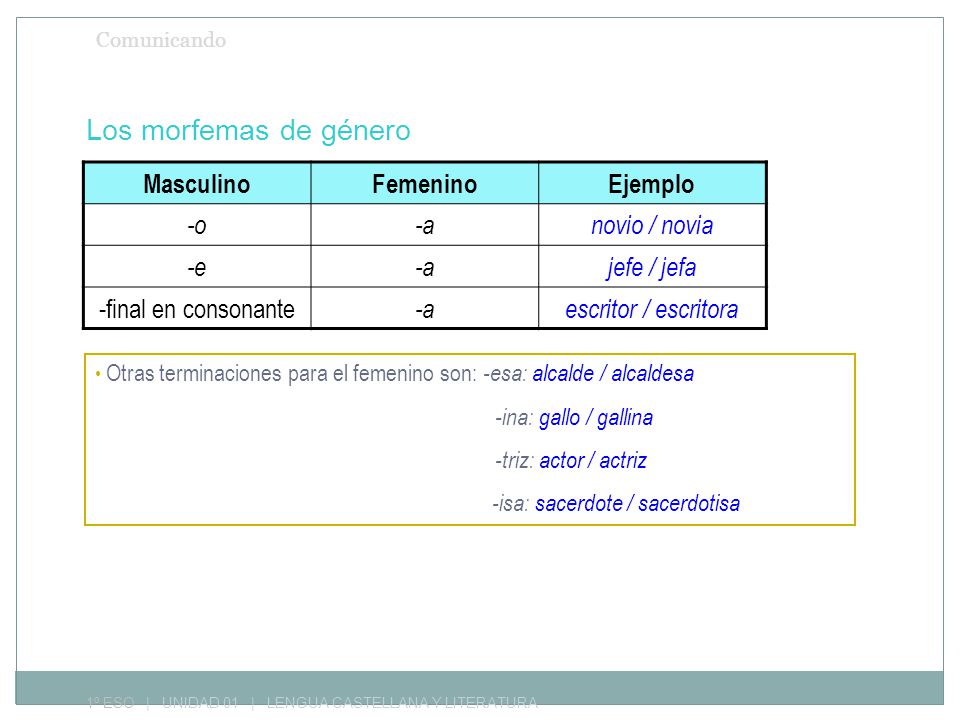 Los morfemas de género Masculino Femenino Ejemplo -o -a novio / novia