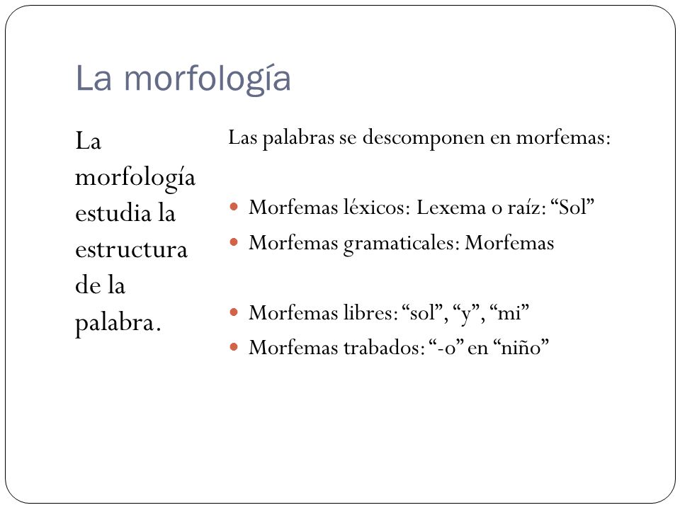 La morfología La morfología estudia la estructura de la palabra.