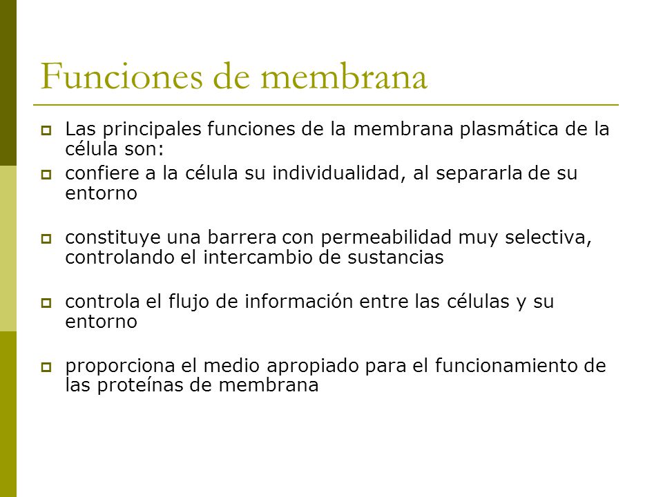 Funciones de membrana Las principales funciones de la membrana plasmática de la célula son: