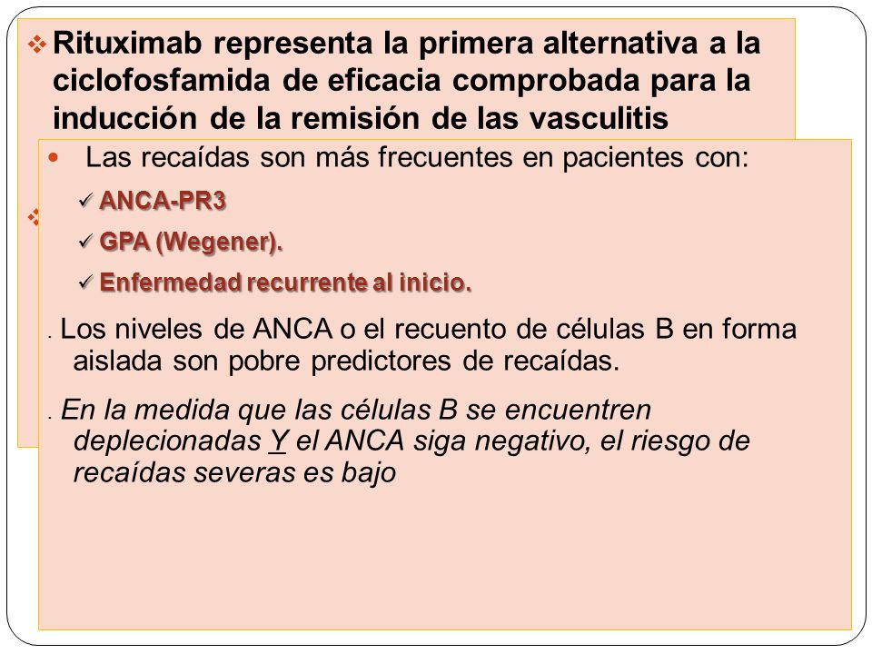Rituximab representa la primera alternativa a la ciclofosfamida de eficacia comprobada para la inducción de la remisión de las vasculitis severas asociadas a ANCA.