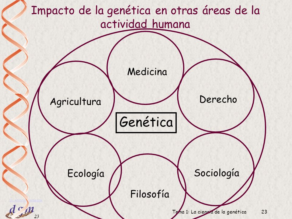 Genética Impacto de la genética en otras áreas de la actividad humana