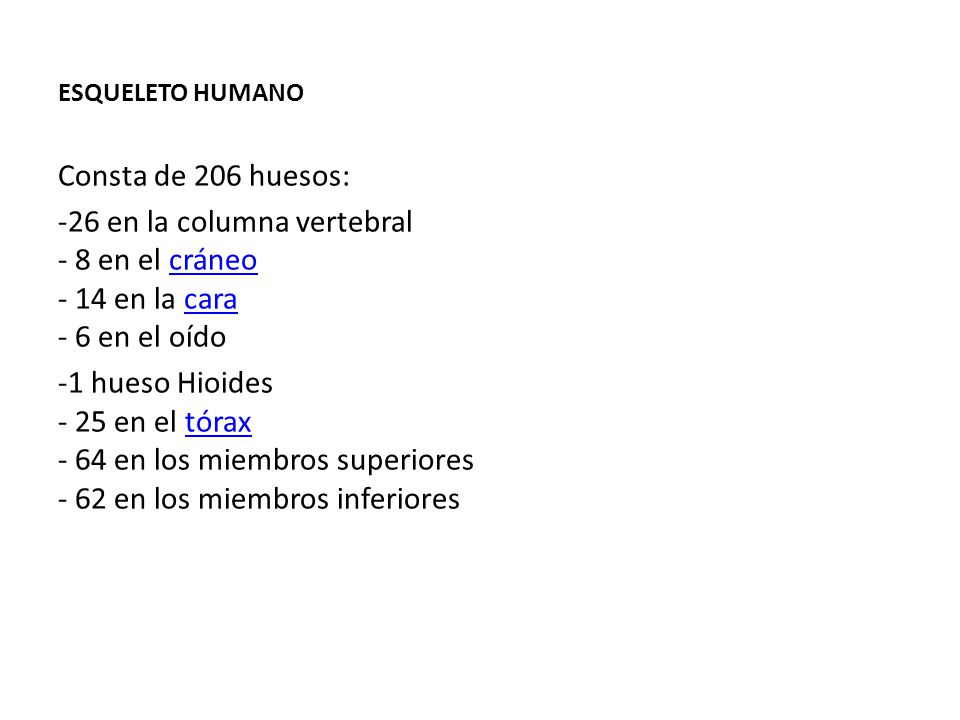 ESQUELETO HUMANO Consta de 206 huesos: 26 en la columna vertebral - 8 en el cráneo - 14 en la cara - 6 en el oído.