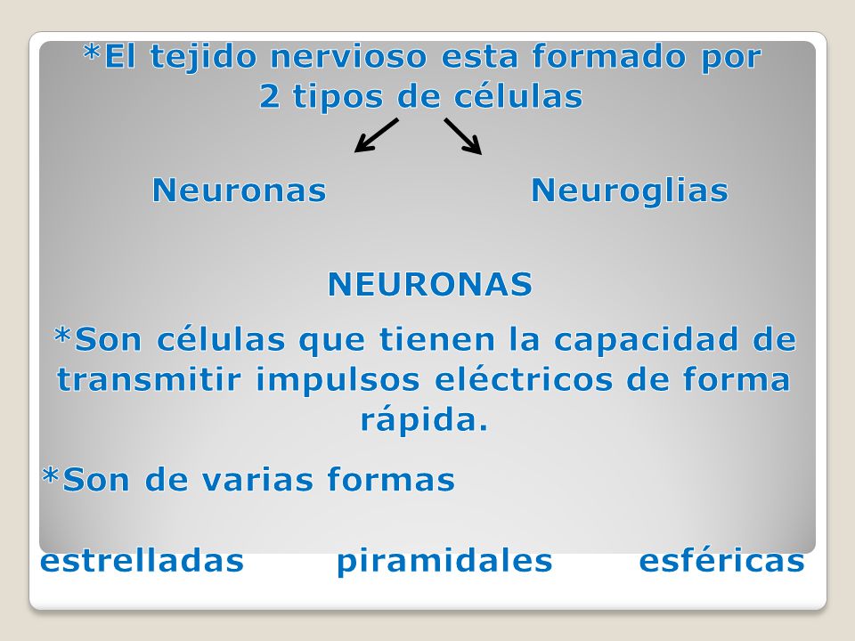 *El tejido nervioso esta formado por 2 tipos de células
