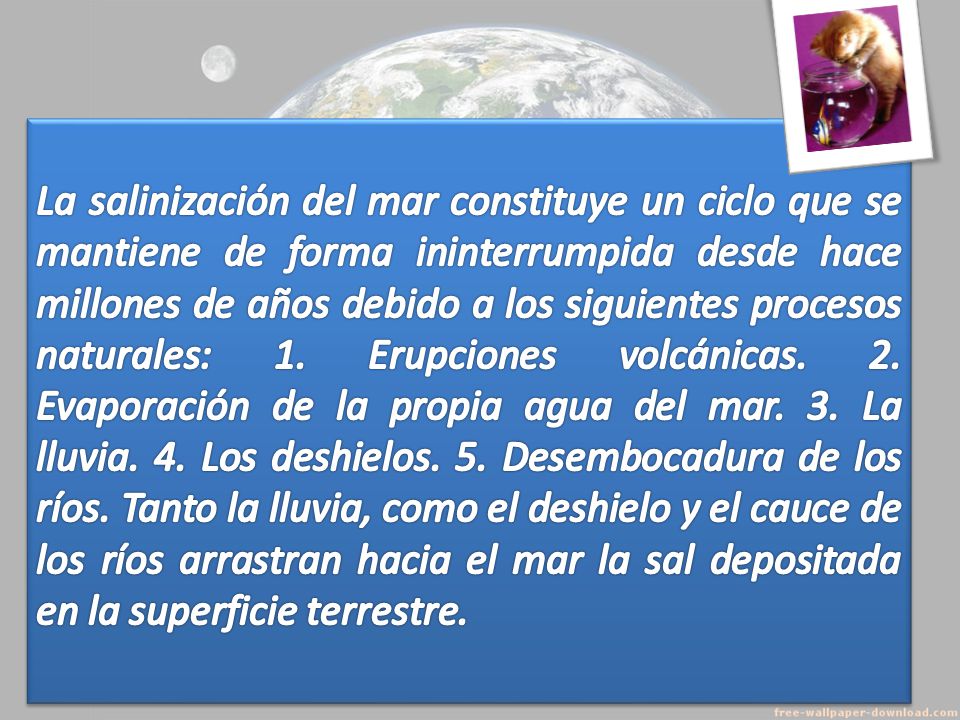 La salinización del mar constituye un ciclo que se mantiene de forma ininterrumpida desde hace millones de años debido a los siguientes procesos naturales: 1.