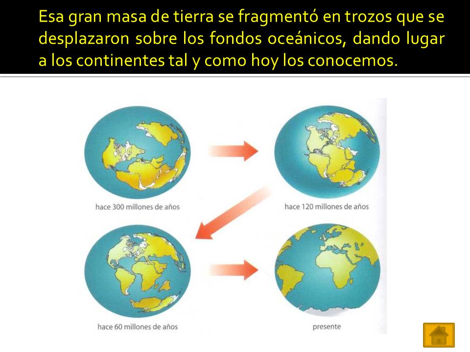 Esa gran masa de tierra se fragmentó en trozos que se desplazaron sobre los fondos oceánicos, dando lugar a los continentes tal y como hoy los conocemos.