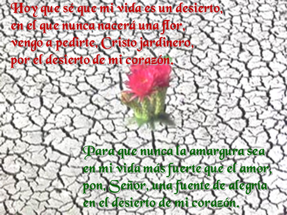 Hoy que sé que mi vida es un desierto, en el que nunca nacerá una flor, vengo a pedirte, Cristo jardinero, por el desierto de mi corazón.