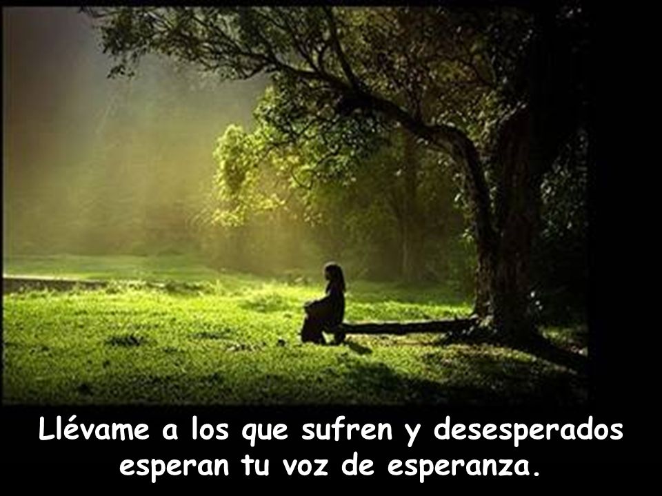 Llévame a los que sufren y desesperados esperan tu voz de esperanza.