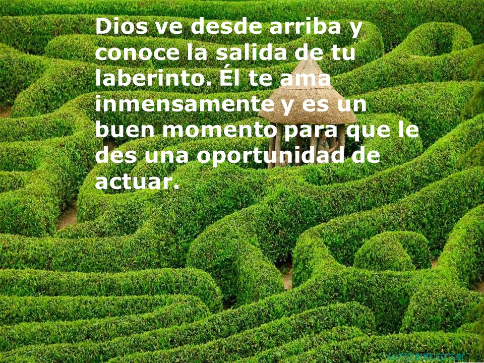 Dios ve desde arriba y conoce la salida de tu laberinto