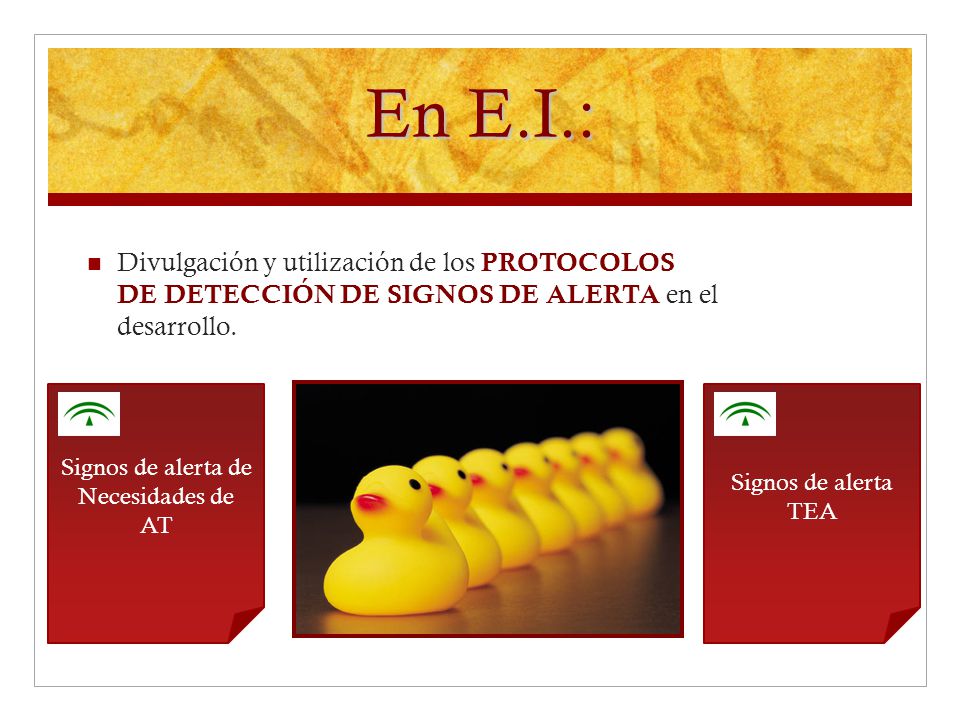 En E.I.: Divulgación y utilización de los PROTOCOLOS DE DETECCIÓN DE SIGNOS DE ALERTA en el desarrollo.