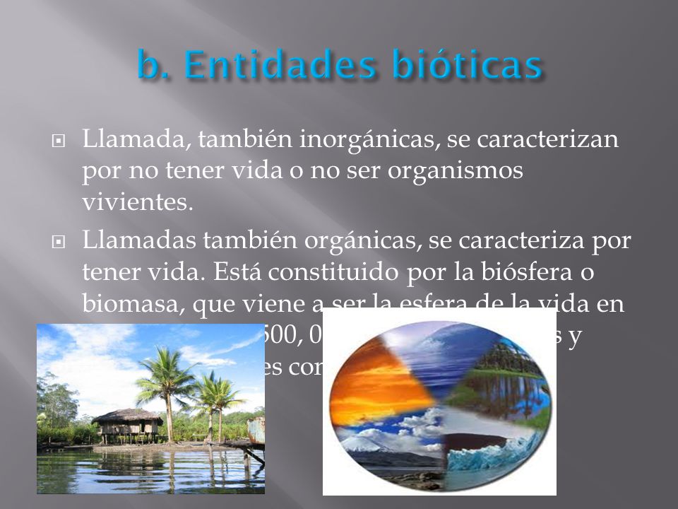 b. Entidades bióticas Llamada, también inorgánicas, se caracterizan por no tener vida o no ser organismos vivientes.