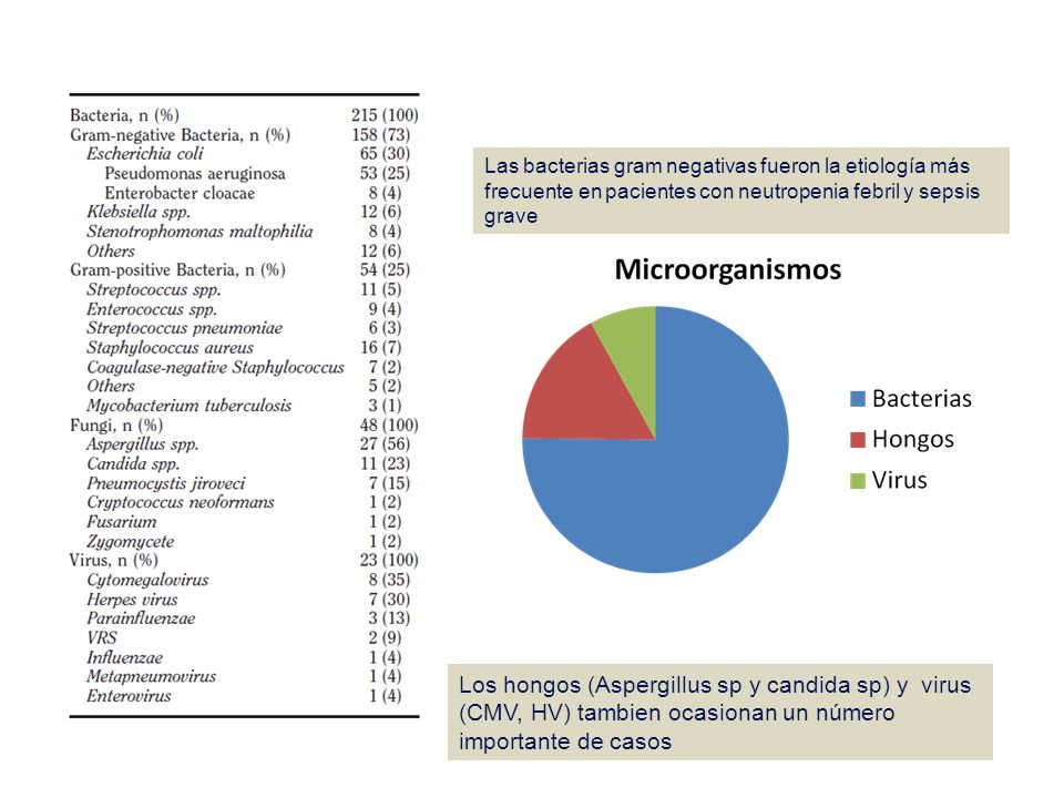 Las bacterias gram negativas fueron la etiología más frecuente en pacientes con neutropenia febril y sepsis grave