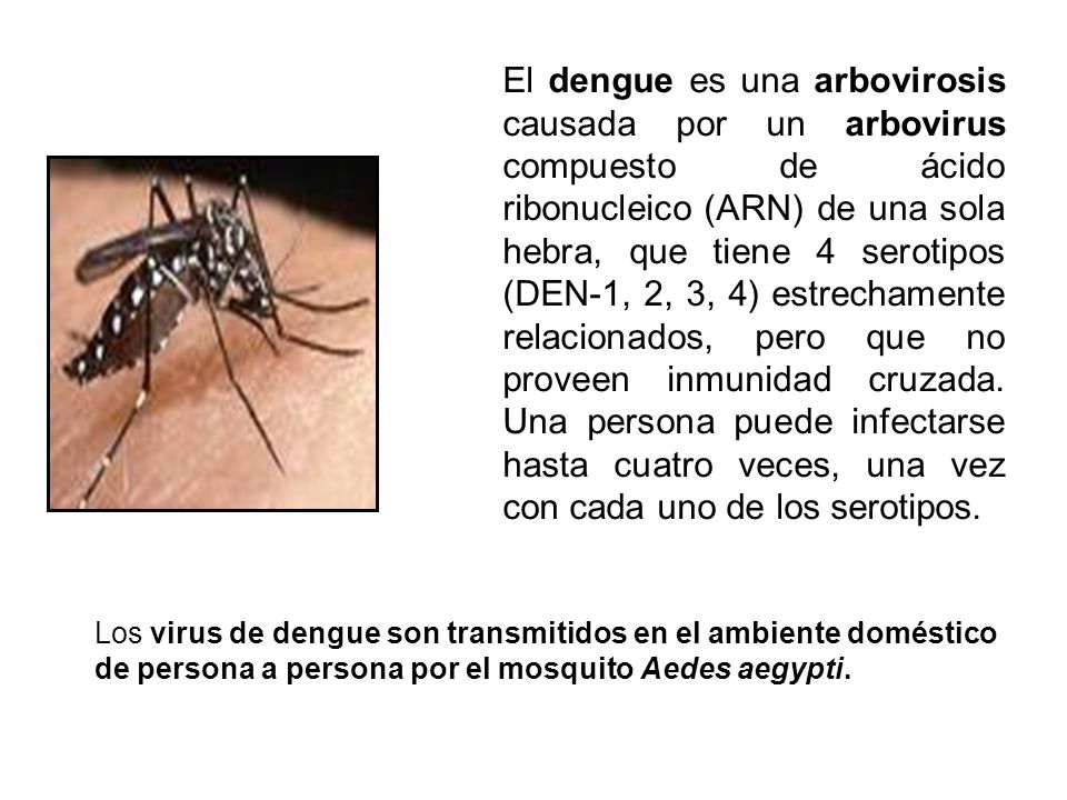 El dengue es una arbovirosis causada por un arbovirus compuesto de ácido ribonucleico (ARN) de una sola hebra, que tiene 4 serotipos (DEN-1, 2, 3, 4) estrechamente relacionados, pero que no proveen inmunidad cruzada. Una persona puede infectarse hasta cuatro veces, una vez con cada uno de los serotipos.